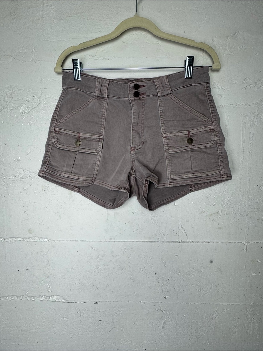 Pistola‎ Chester Cargo Shorts  Y2K Mauve Purple Brown Size Small 26